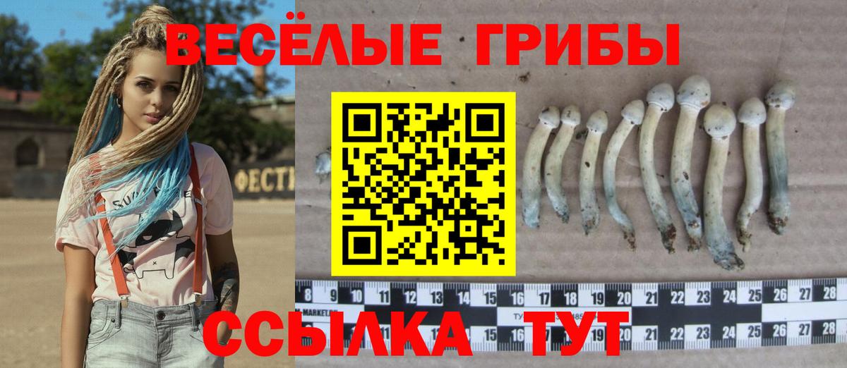Владикавказ  Галлюциногенные грибы прущие грибы  Галлюциногенные грибы мицелий  Вход с VPN 